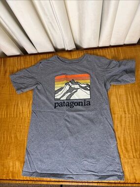Patagonia Gray Tee with Sunset Mountain Graphic